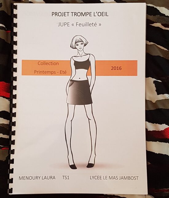 Projet " Au delà des apparences " 